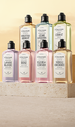 Cèdre Encens Eau de Toilette | L'Occitane en Provence